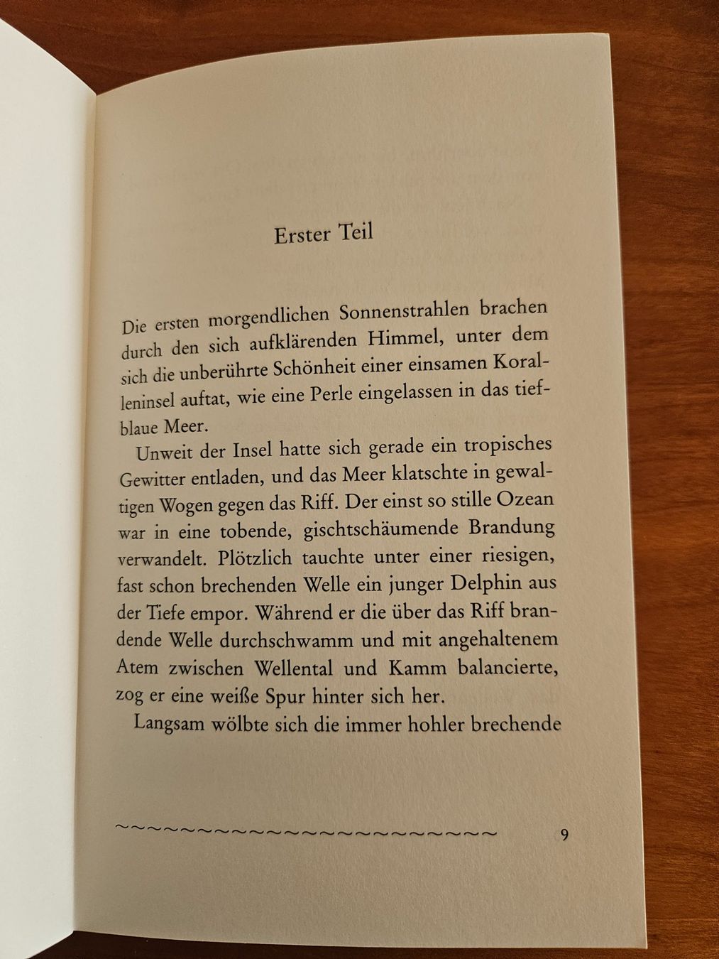 Libri: Sergio Bambaren: Der träumende Delphin – Usato da Ittigen venduto da Myriamstr 3