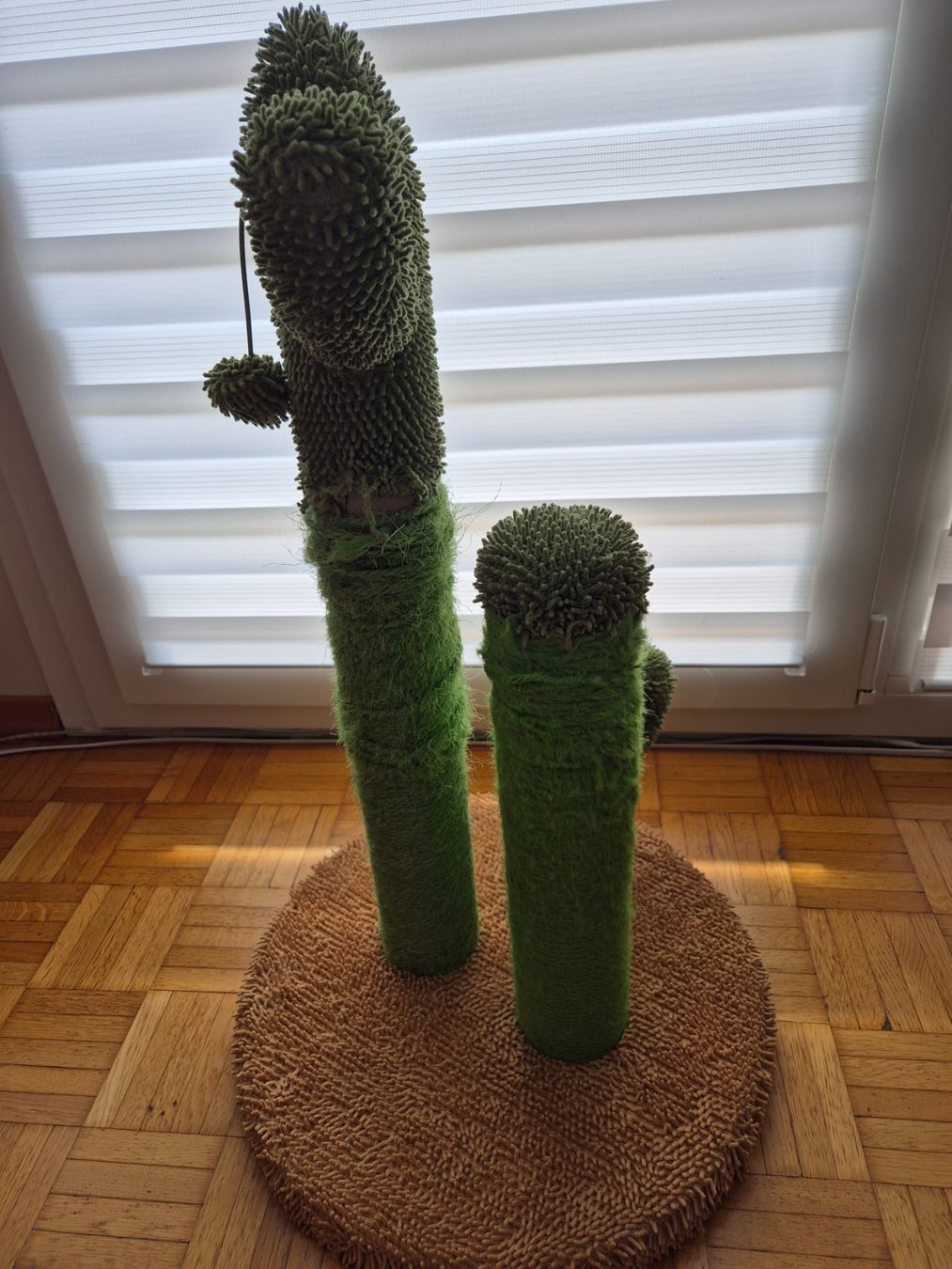Tiragraffi: Katzenbaum Kaktus ca. 44cmx70cm – Usato da Zürich venduto da pau_y8mv 2