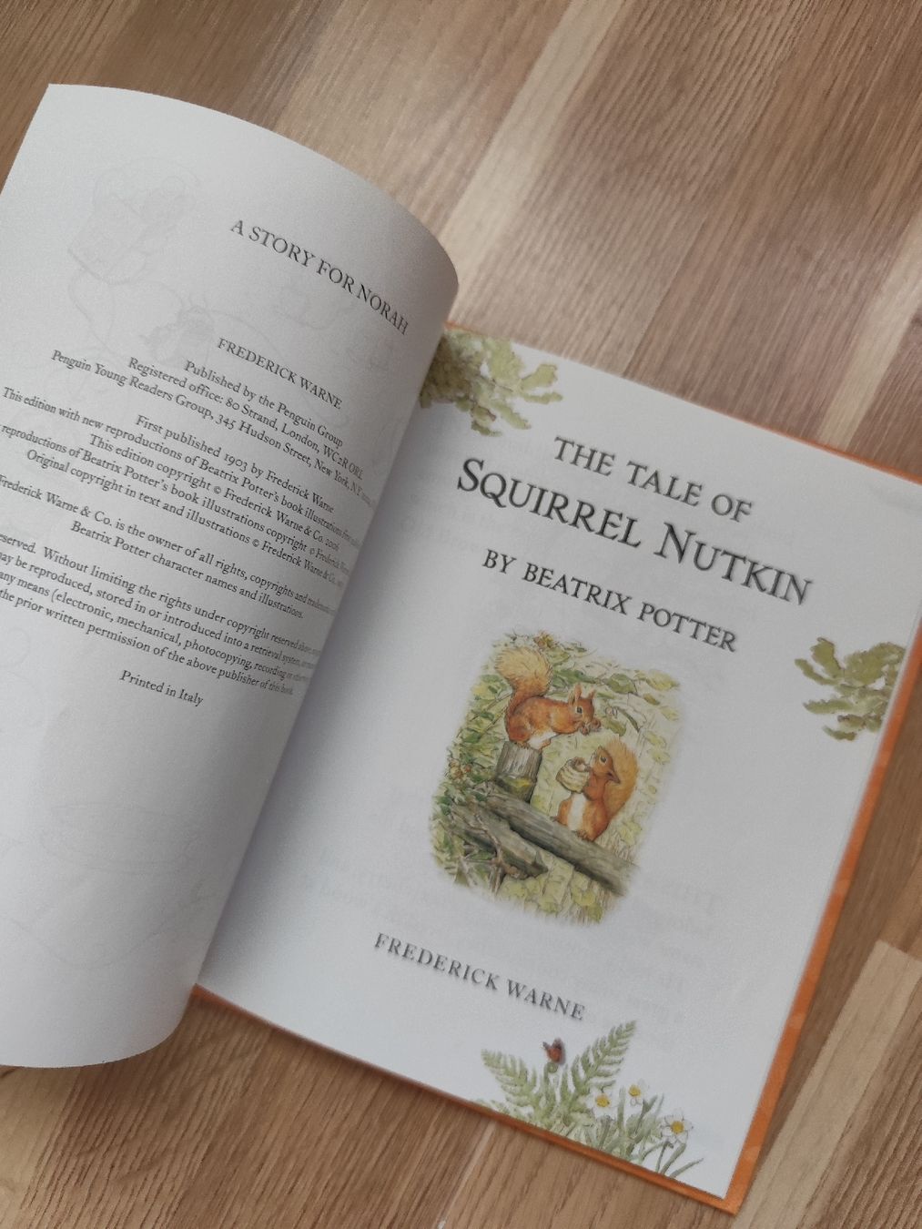 Libri: Beatrix Potter The Tale of Squirrel Nutkin – Usato da Mägenwil venduto da VintageGirly 9
