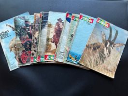 53 Junior-Hefte von 1977 bis 1996