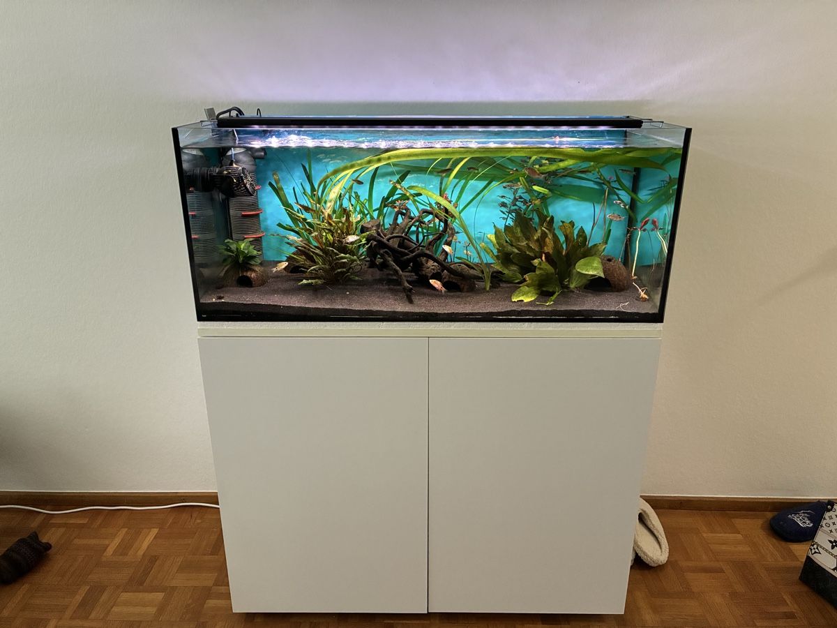 Acquari: Aquarium  160 L 6 Monate alt – Usato da Basel venduto da MuazM
