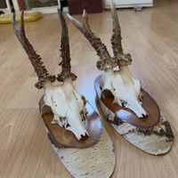 2x Reh Schädel mit Trophäen auf Holz, Jagd Deko 🌲