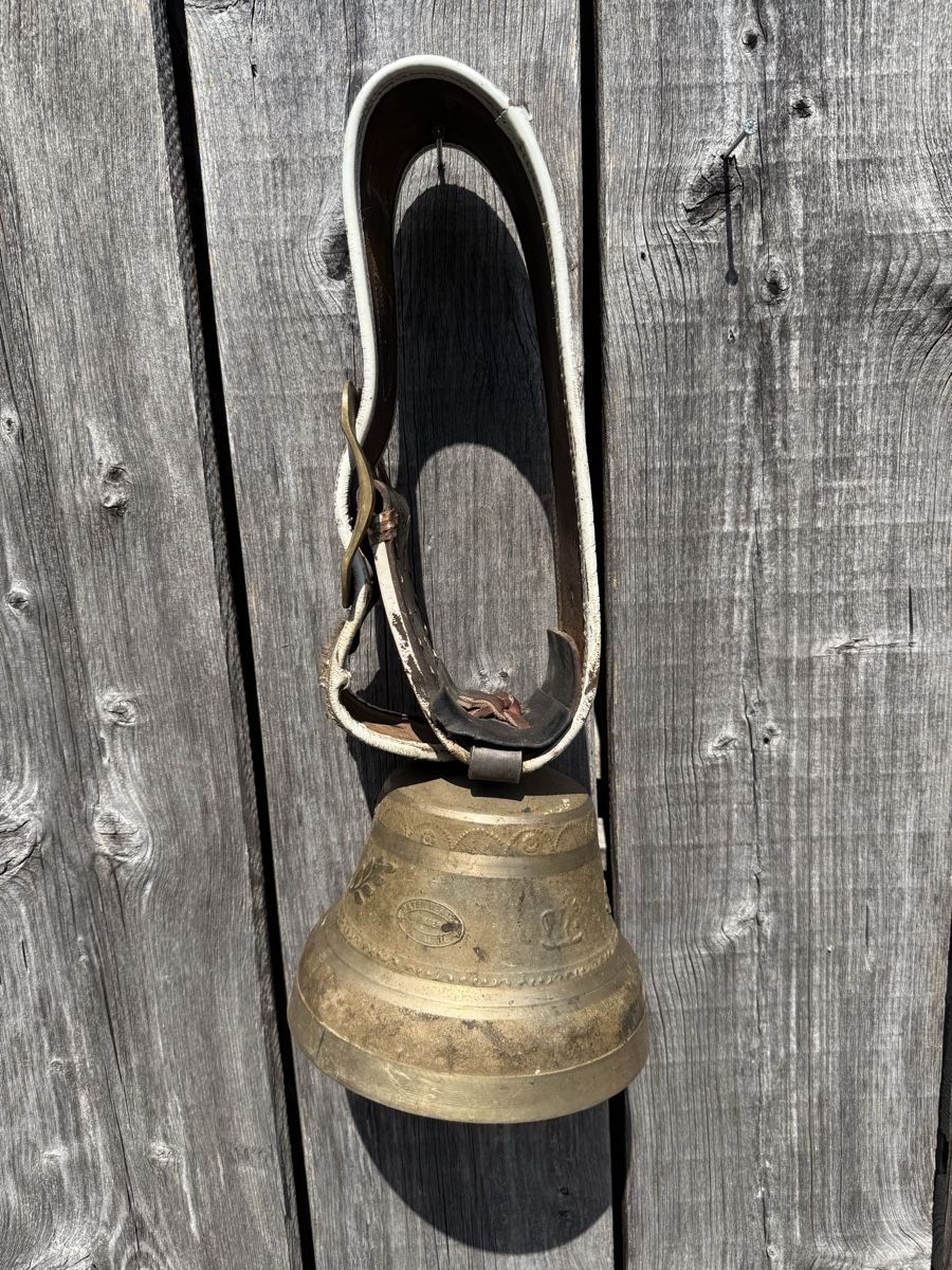 Campanacci mucche: Schöne Glocke, Peter Berger Bärau BE – Usato da Sargans venduto da foxtrading 4
