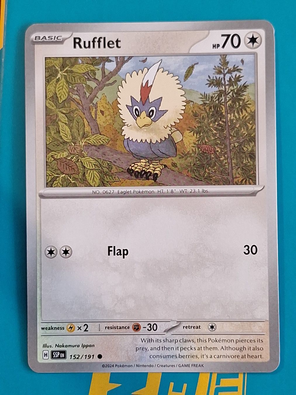 Pokémon Carte collezionabili: Rufflet - Pokemon Surging Sparks – Usato da Altstätten SG venduto da GGsGameshop