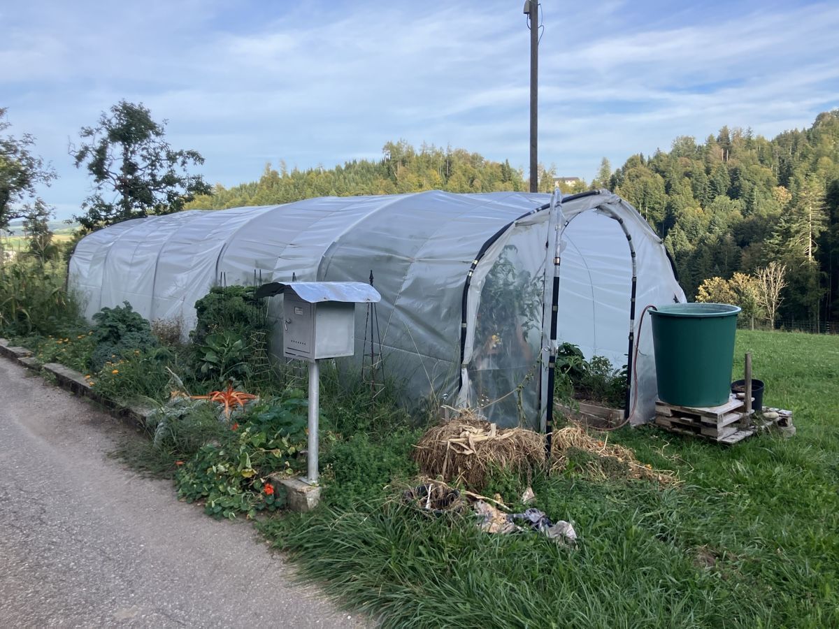 Gartenhäuser & Gewächshäuser: Gewächshaus Tunnel – Gebraucht aus Menznau von Dandyn 9