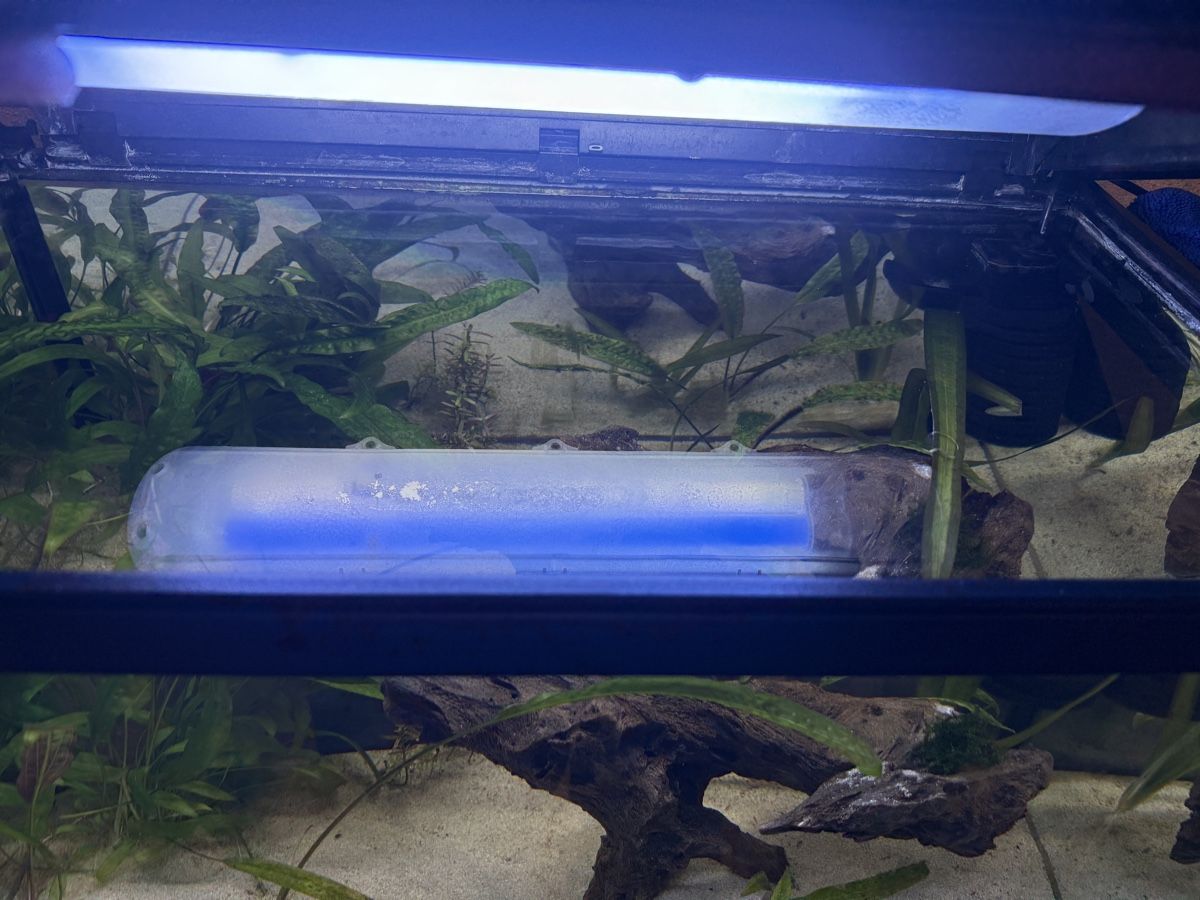 Acquari: Aquarium Amazonas F75 – Usato da Winterthur venduto da Lati85 3