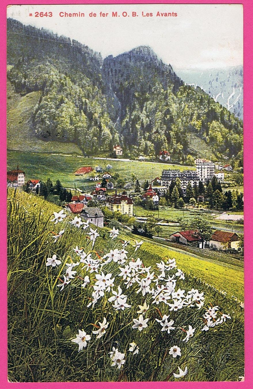 Cartoline postali: Chemin de fer M. O. B. Les Avants – Usato da Einsiedeln venduto da dillie