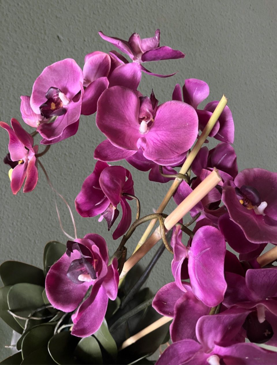 Pflanzen & Samen: Kunstpflanze Orchideen im Topf – Neu und originalverpackt aus Emmen von codici 1