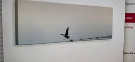 Leinwandbild Panorama, Vogel auf See
