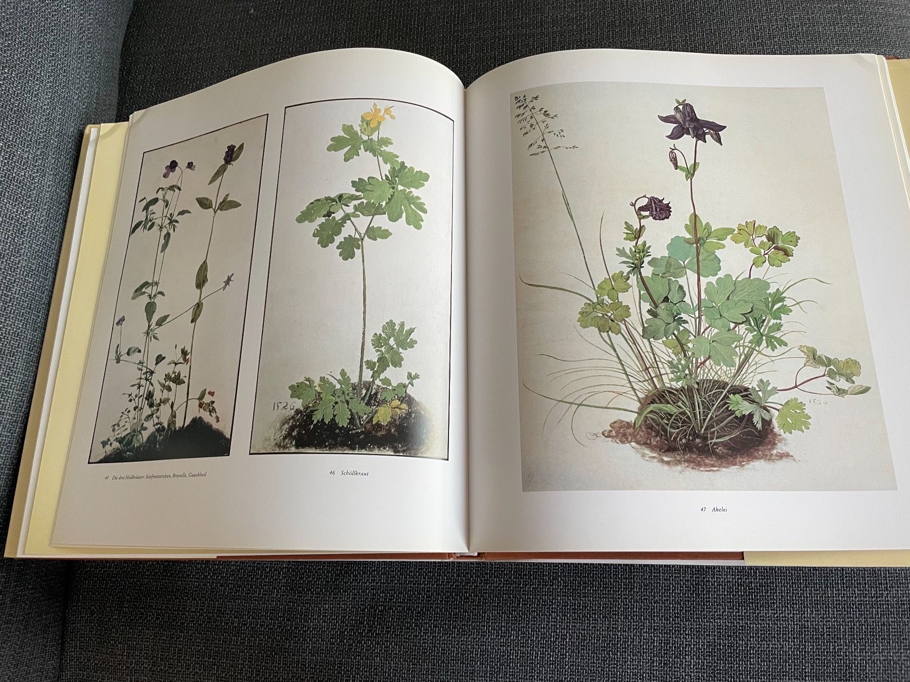 Libri: Libro sull’opera di Albrecht Dürer – Usato da Breganzona venduto da BlueBlue 7