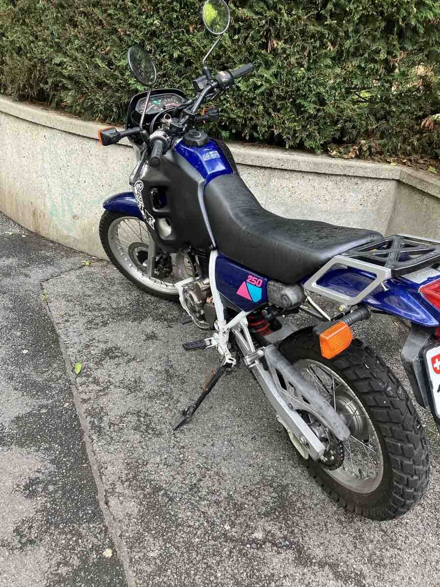 Honda Enduro: NX 250 de 1991 – Gebraucht aus Genève von hlr_665h 2