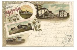 Gruss aus St. Margrethen (SG) Rheintal - Bahnhof  Litho 1902