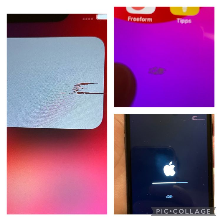 Iphone 11 64 Gb Kaufen Auf Ricardo 4731