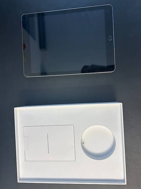 Tablet PC: iPad 6th Generation, 128 GB, inkl. Pencil – Usato da Thalheim an der Thur venduto da Iselisberger 1