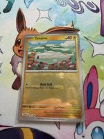 Pokemon Tynamo Masterball 030/086 BLK 