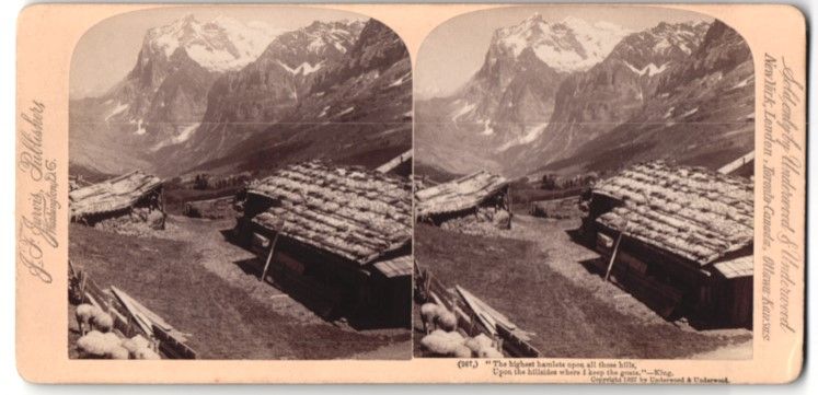 Fotografie & Manifesti: Stereo-Fotografie Scheidegg, Blick in da – Usato da Berlin venduto da bartko-reher