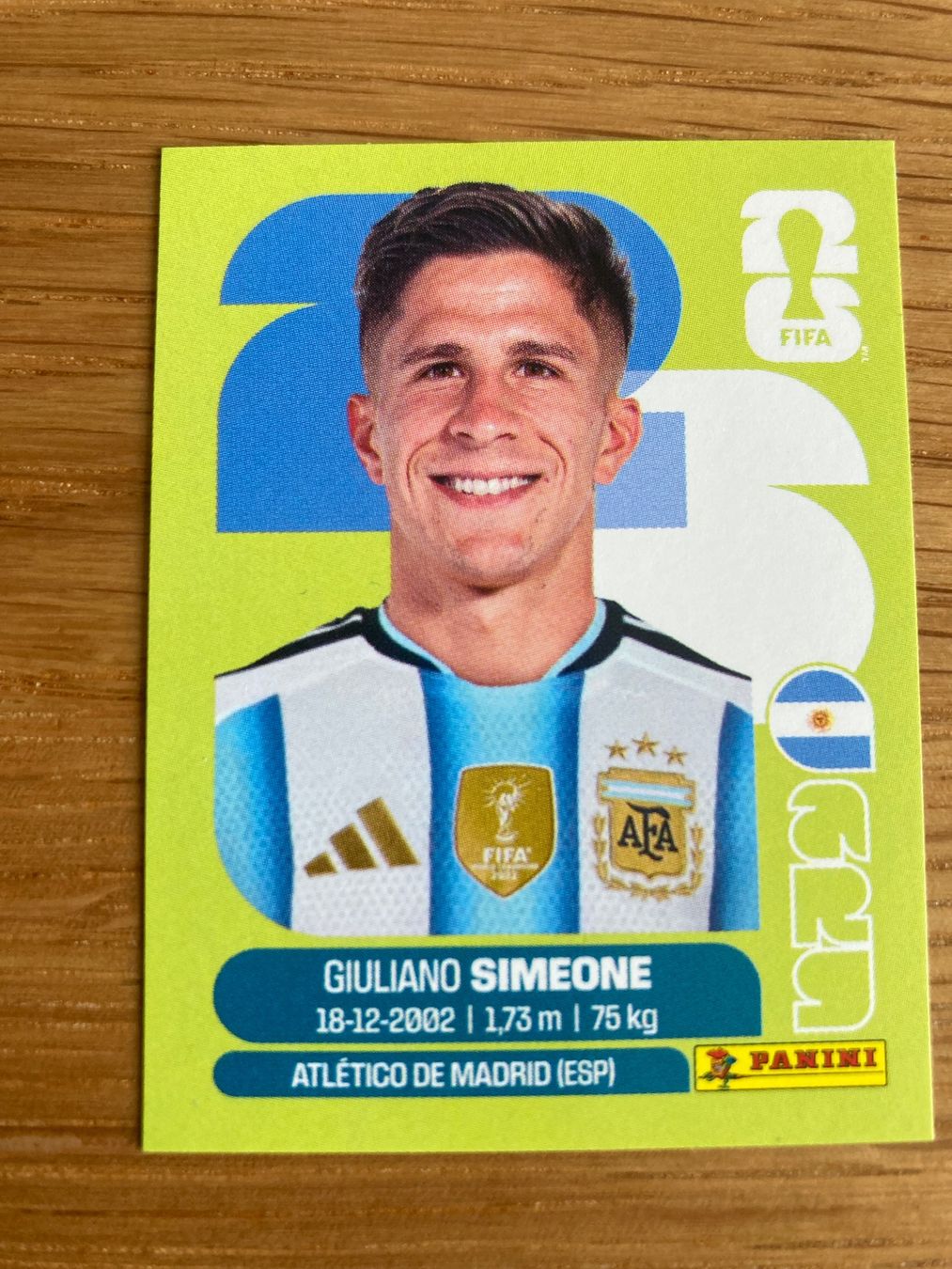 Panini Carte collezionabili: WM Sticker ARG 20 – Nuovo (secondo la descrizione) da Winterthur venduto da Whitefish