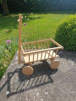 Kleiner Leiterwagen Leiterwägeli für Kinder