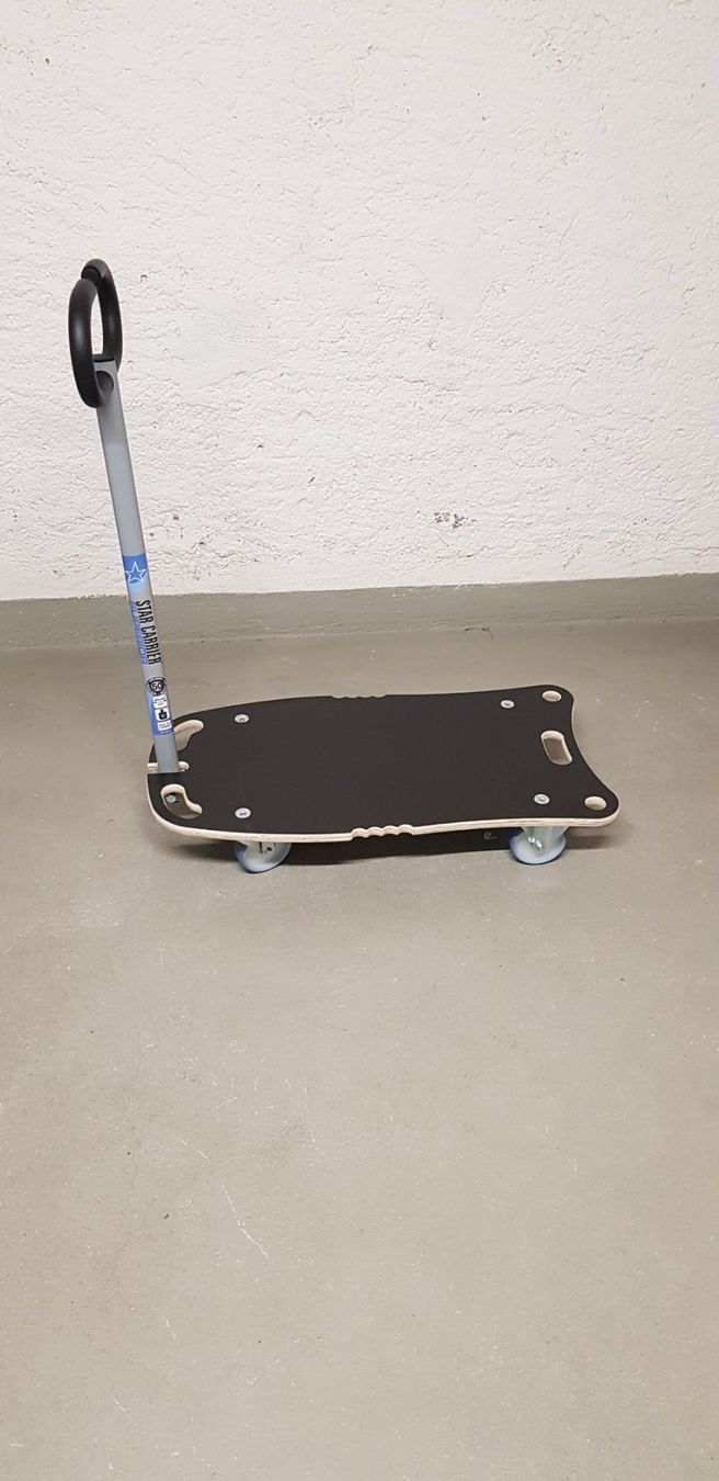Wagner Carrelli di trasporto: WAGNER Star Carrier Superior Transportroller NEU – Usato da Zürich venduto da fiat72