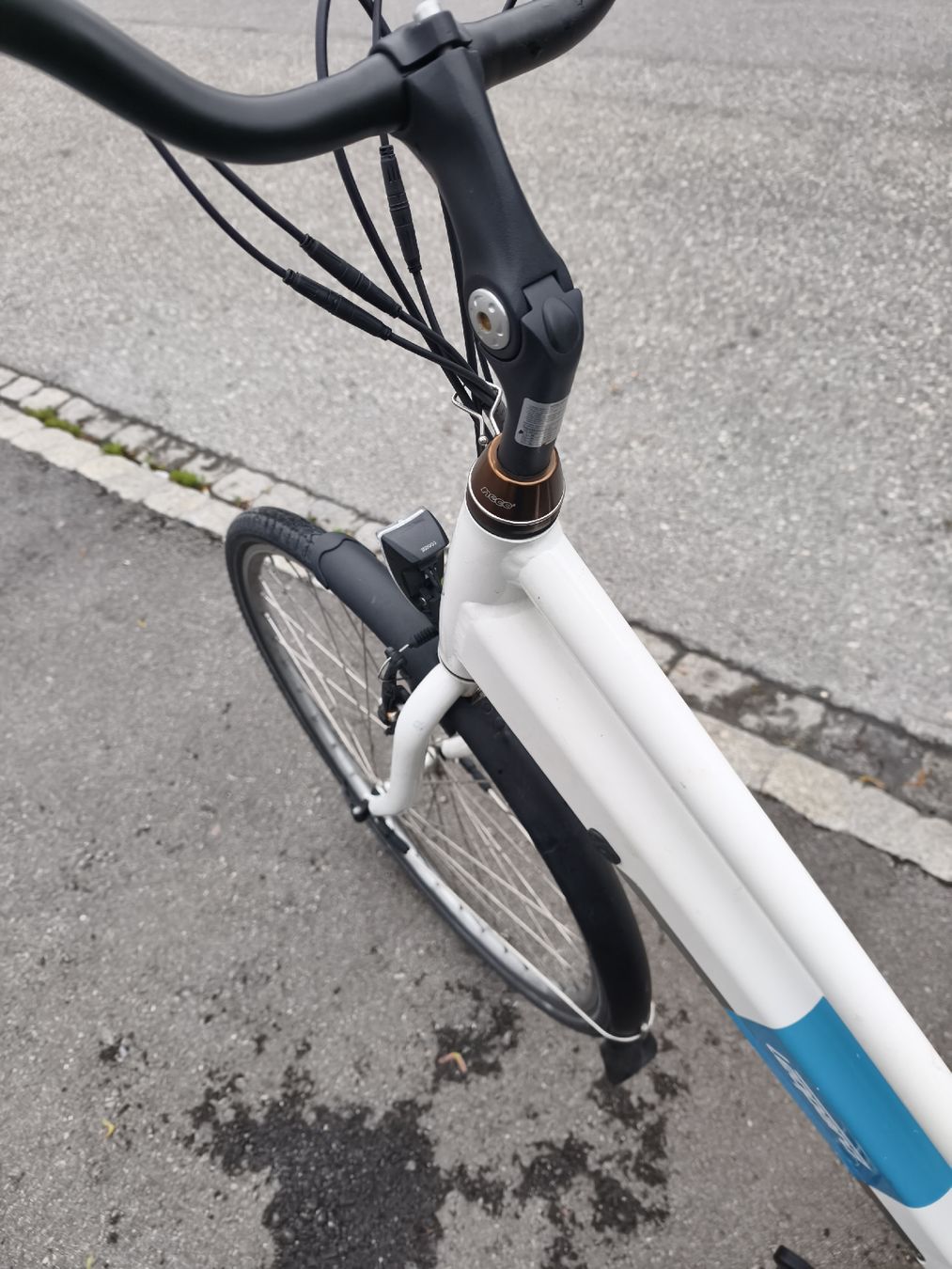 Leopard Vélos: Leopard E-Bike defekt – Défectueux à Chur par tun_dy8m 3