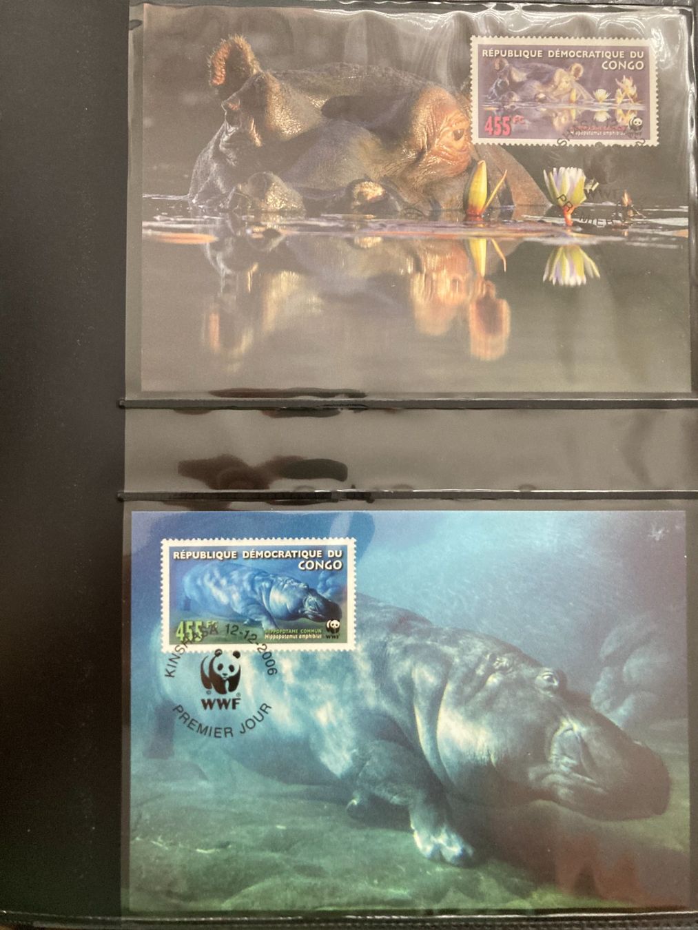 Alle Briefmarken: Kongo 2006 Satz WWF Flusspferd Maximumkarten – Neu (gemäss Beschreibung) aus Liestal von schnueps