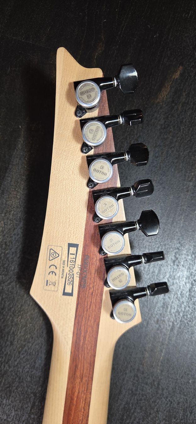 Strumenti musicali: Ibanez RGDIX7MPB Iron Label 7 String, Surreal Blue Burst – Usato da Thörigen venduto da tomee 3