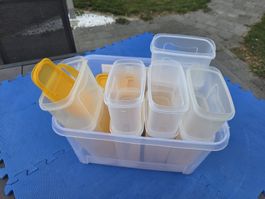Tupperware Vorratsdosen Set transparent gelb gebraucht