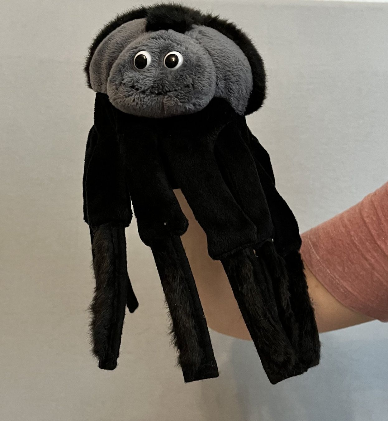 Spielzeuge: 2 Handpuppen Spinne und Marienkäfer – Gebraucht aus Bühl BE von psos