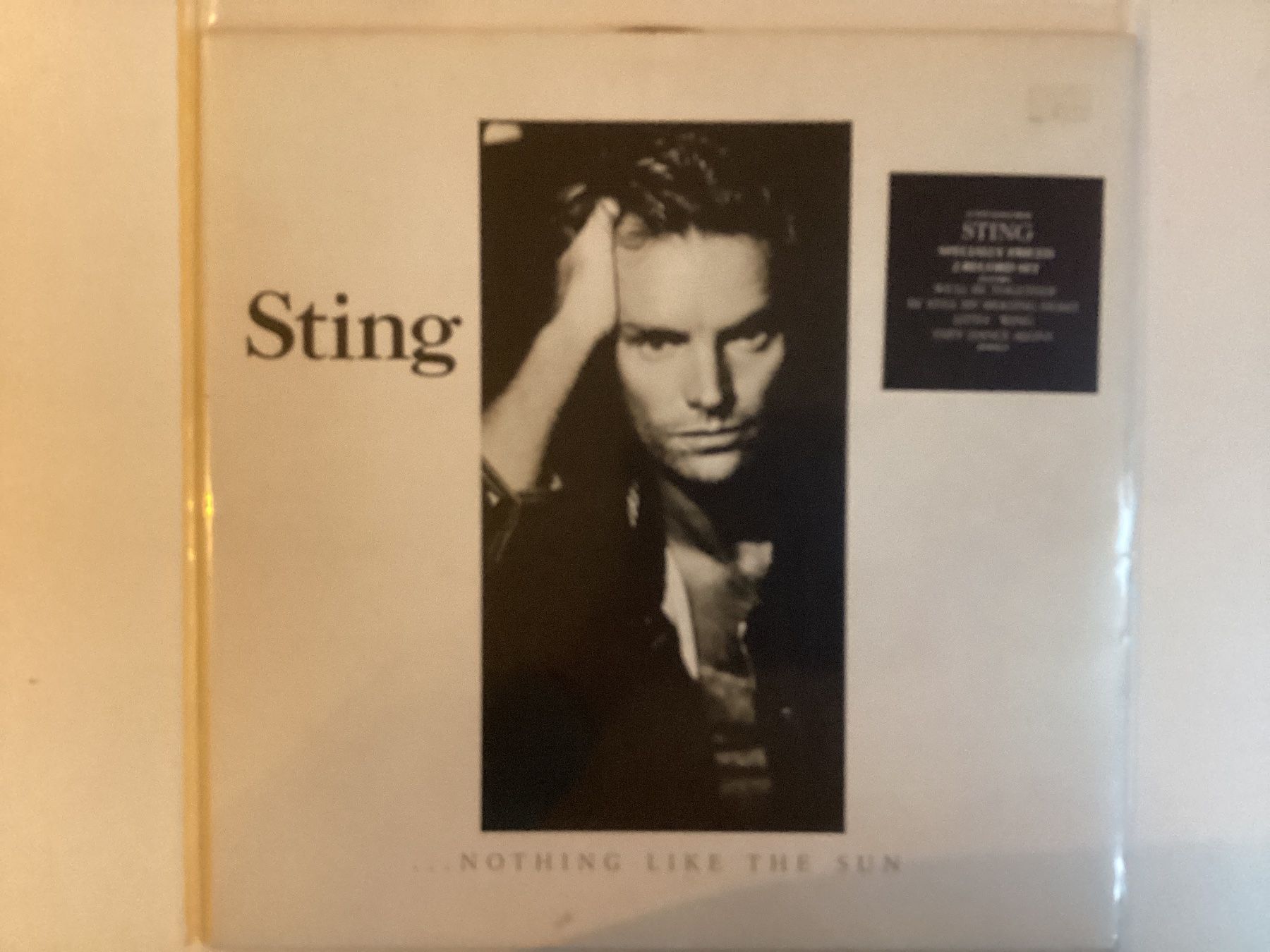 Dischi in vinile: Sting Doppel-LP - Nothing Like The Sun – Usato da Gutenswil venduto da Hamzian