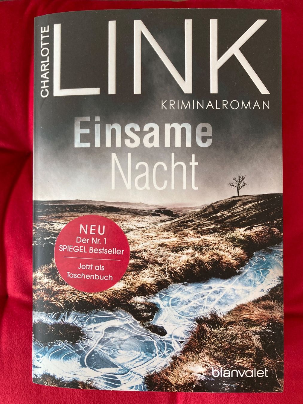 Libri: Charlotte Link, Einsame Nacht – Usato da Baden venduto da Yoyo1