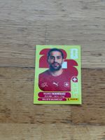 Panini SUI 5