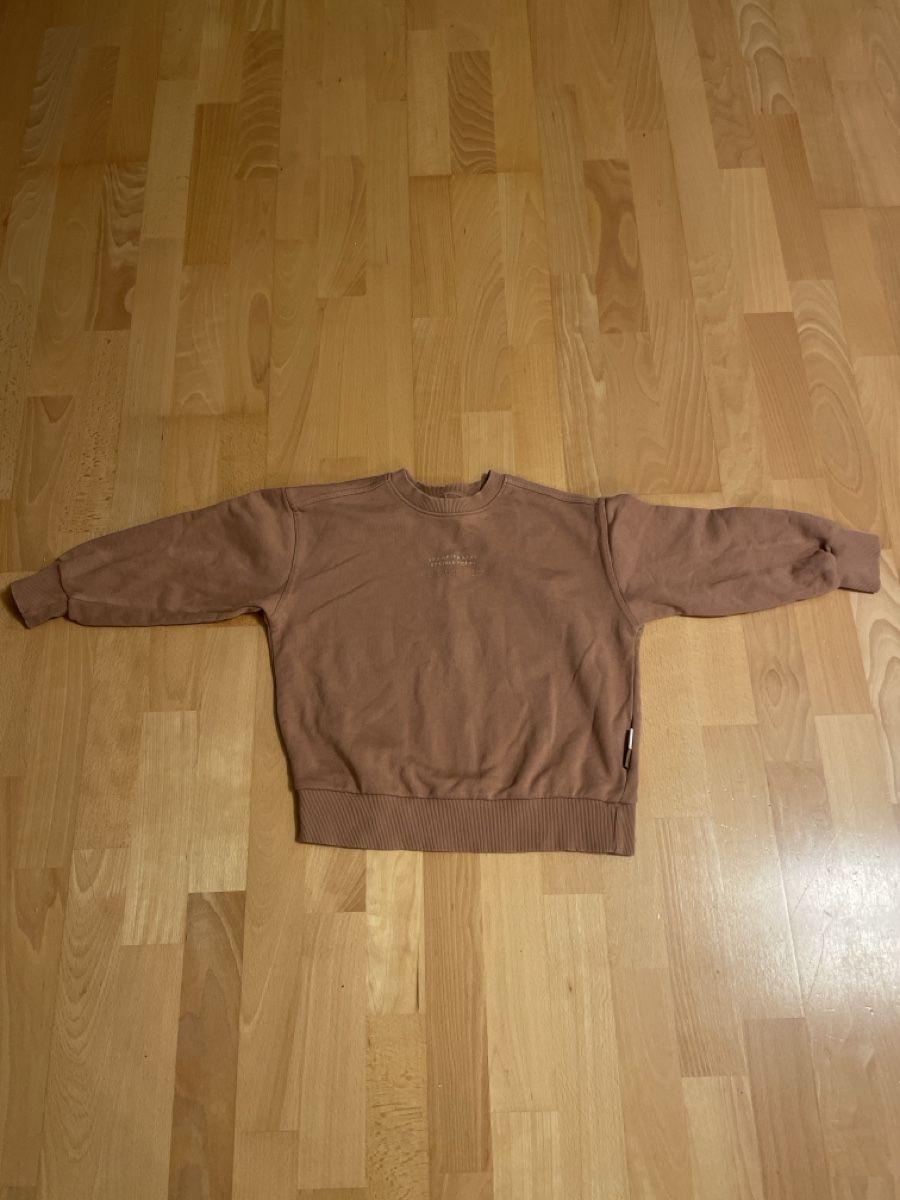 Maglioni & Felpe: Zara / Next / Disney sweaters / cardigans, size 122 – Usato da Birmensdorf ZH venduto da nik_scz9 6