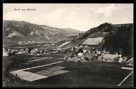 AK Steinen, Ortsansicht mit Feldern und Hügeln
