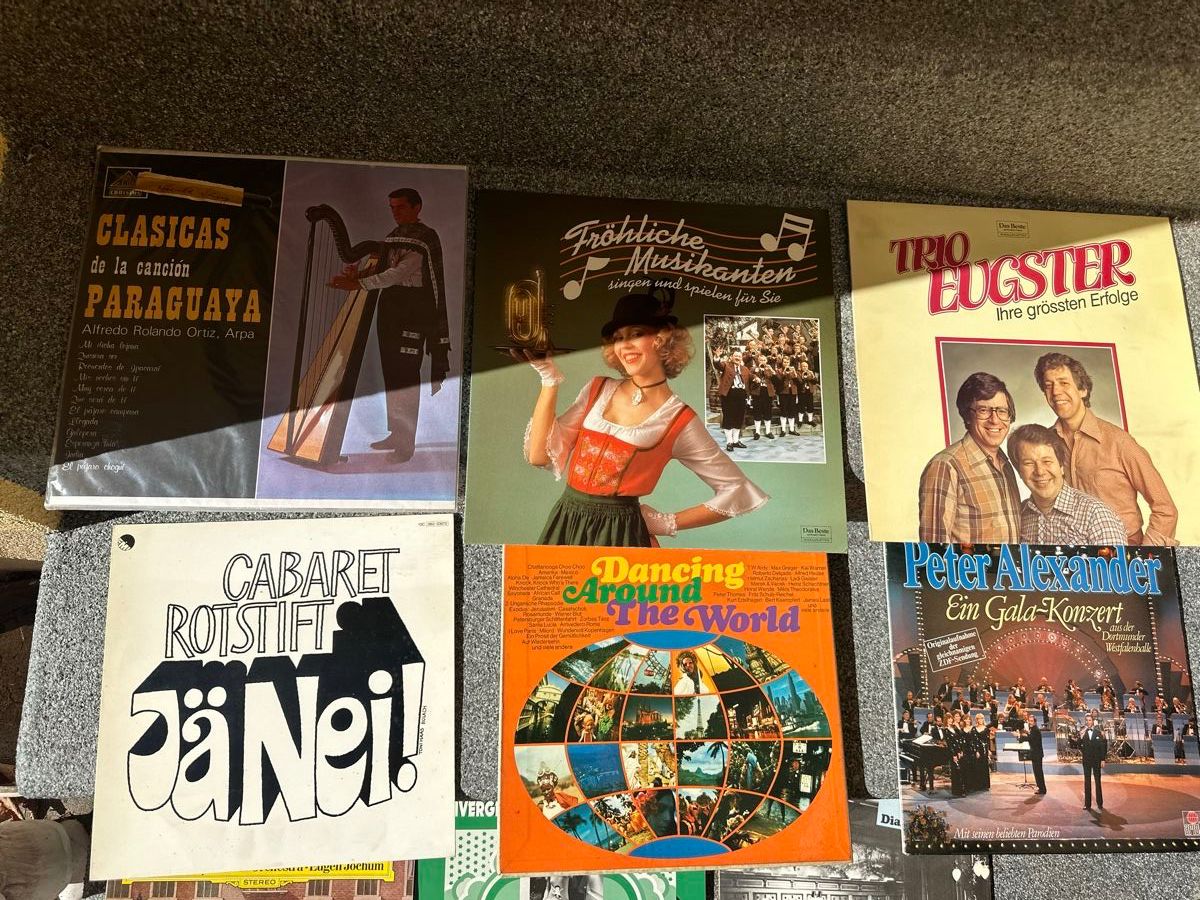 Dischi in vinile: 9 Schallplatte Sammlung – Usato da Oberentfelden venduto da vilibrand 1
