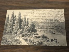 Vintage 1905 Postcard - Springtime Find!