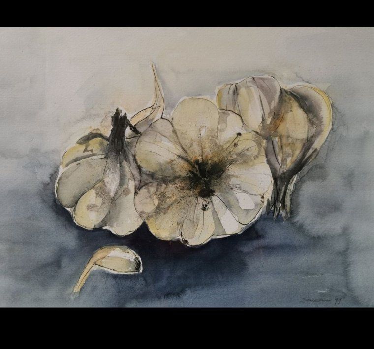 Dipinti: Aquarell mit Knoblauch - Susan Trinkler – Usato da Dübendorf venduto da LoRi-2026 1