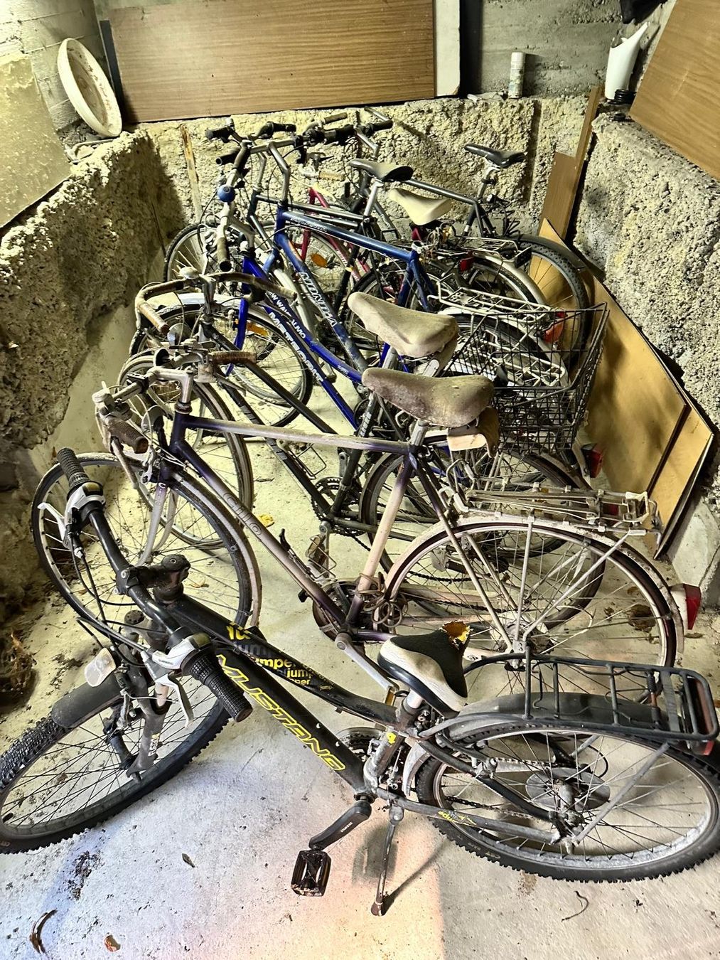 Biciclette: Alte Fahrräder – Usato da Spreitenbach venduto da Space_X 4