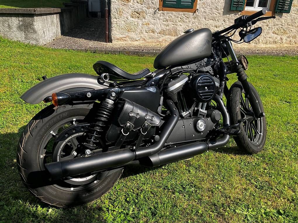 Chopper: Harley Davidson Sporster iron 883 – Gebraucht aus Glovelier von ALE_vtm5 1