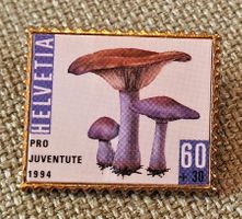 A871 - Pin PTT Pro Juventute Helvetia