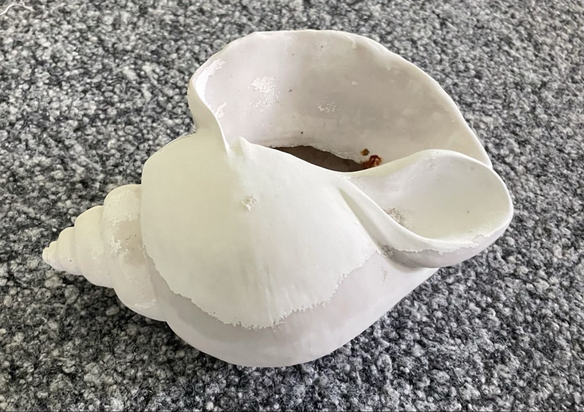 Tutte le decorazioni: Garten Schnecke weiss Dekoobjekt gross DekoSchale – Usato da Au ZH venduto da Jaggy4 4