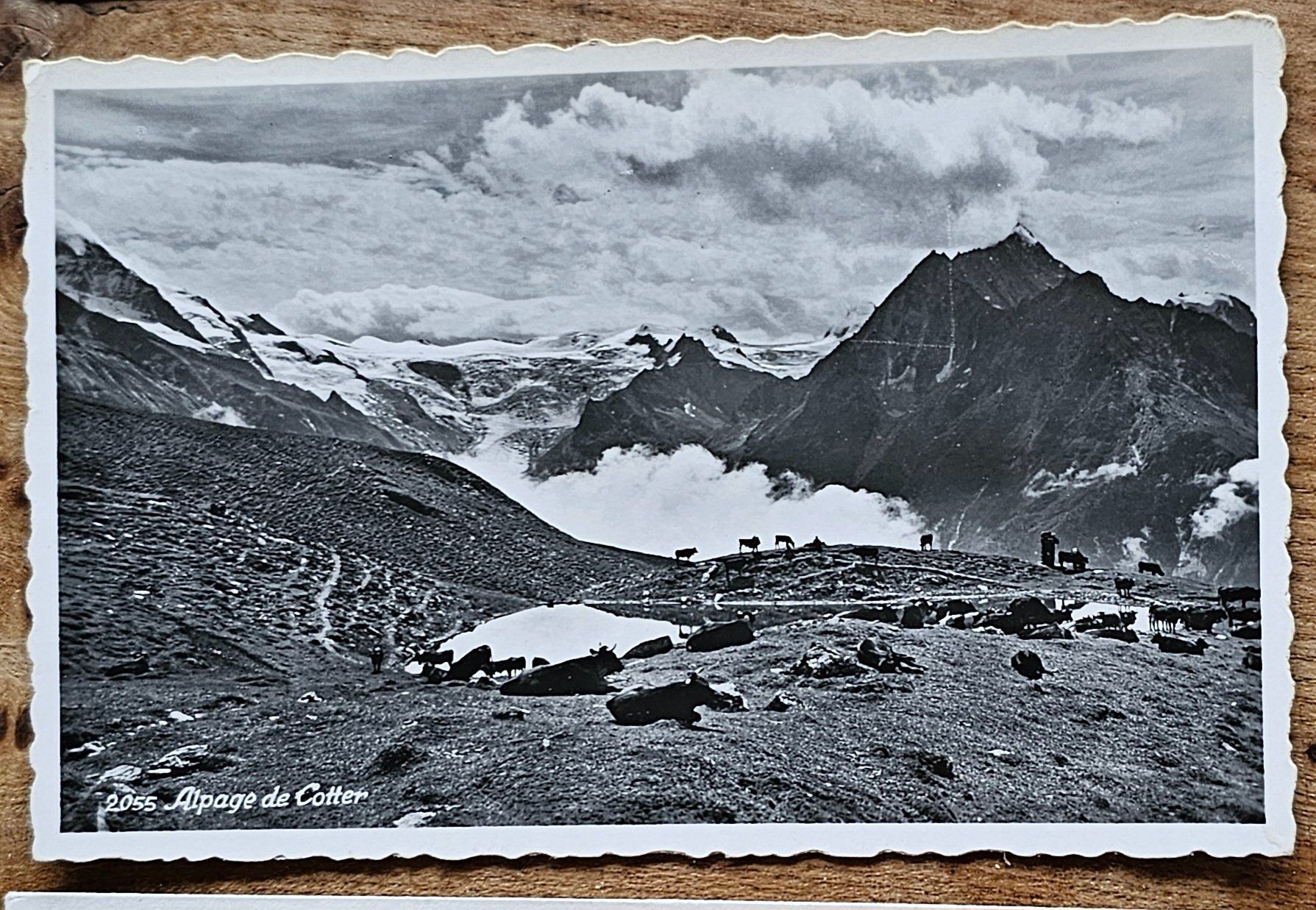 Cartoline postali: CPA Alpage de Cotter (Evolène) – Nuovo (secondo la descrizione) da Les Valettes venduto da Nuba1
