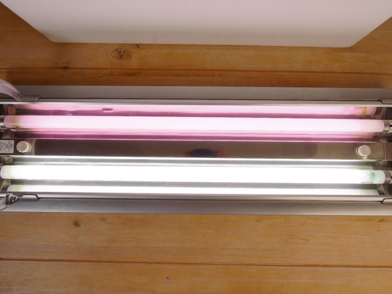 Lampade: Aquarium Beleuchtung 80 cm – Usato da Wil SG venduto da froschbiss
