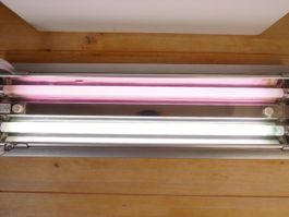 Aquarium Beleuchtung 80 cm