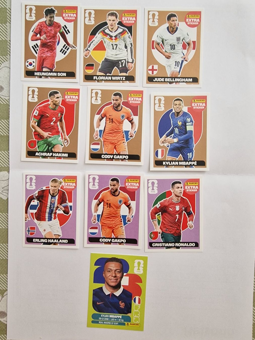 Panini Carte collezionabili: Panini extra Stickers WM 2026 – Nuovo (secondo la descrizione) da Adliswil venduto da vendor123