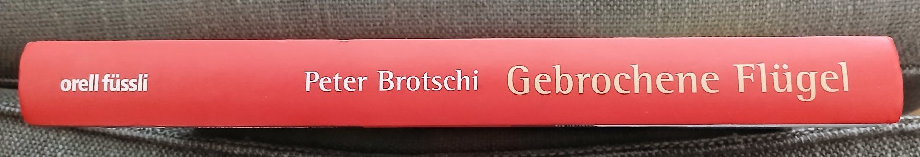 Libri: Buch Schweizer Luftwaffe "Gebrochene Flügel" - Flugunfälle – Usato da Luzern venduto da baku1961 5