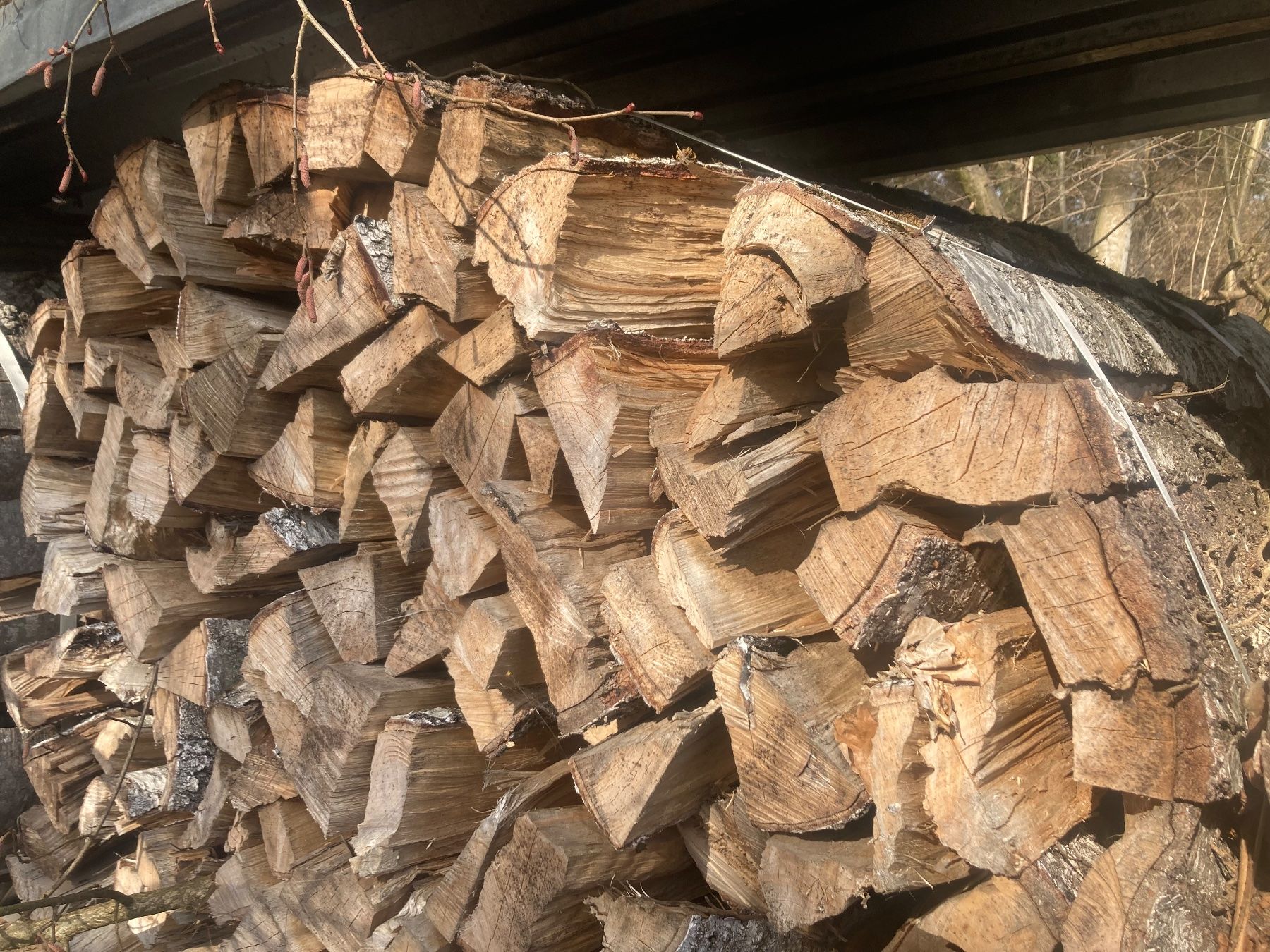 Articoli in legno: Brennholz Birke Cheminéeholz – Usato da Hosenruck venduto da Fox690