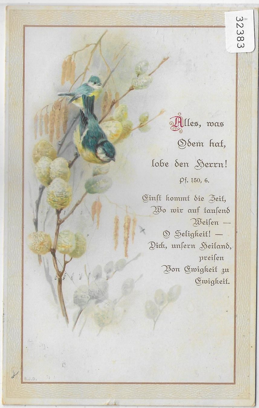Cartoline postali: Blaumeisen auf Zweig - Litho – Usato da Ettingen venduto da Kartenplanet