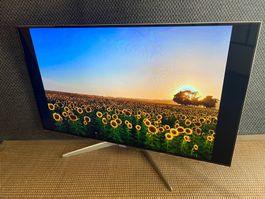 55" Zoll Panasonic Viera LCD TV mit Fernbedienung