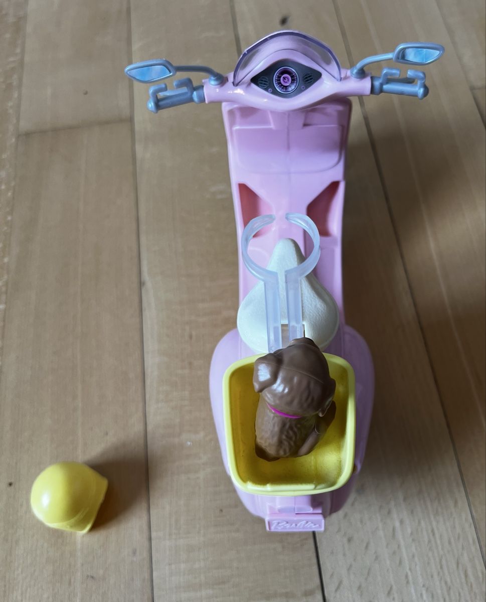 Bambole: Barbie Roller pink mit Hund und Helm – Usato da Winterthur venduto da Creek3 1