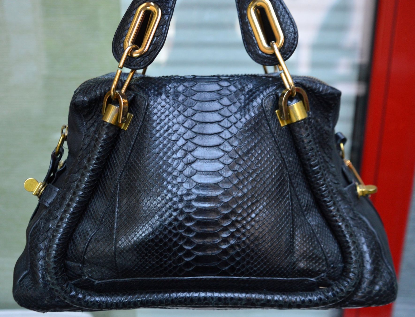 Chloé Borse da donna: Chloé  Paraty Python Tasche / sac – Usato da Collonges venduto da Auganien 1